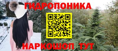 тгк Гай
