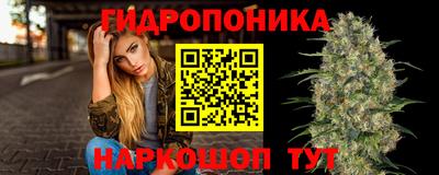 тгк Гай