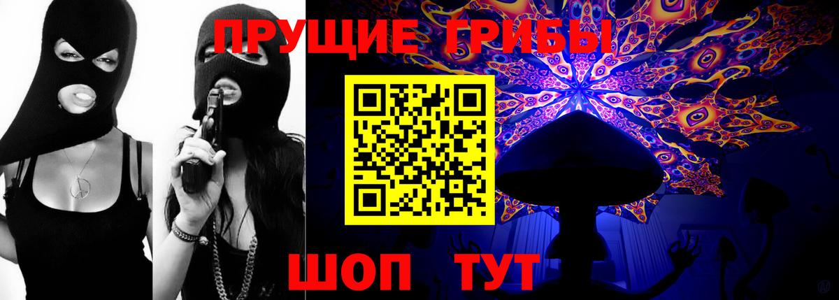 Псилоцибиновые грибы ЛСД Новозыбков